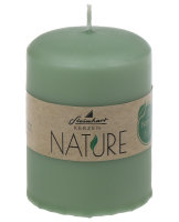 Stumpenkerzen Classic Nature Salbei 80 x Ø 57 mm