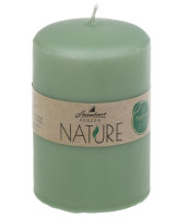 Stumpenkerzen Classic Nature Salbei 100 x Ø 67 mm
