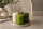 Stumpenkerzen Natural Living