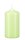 Stumpenkerzen Kiwi 100 x Ø 100 mm, 12 Stück