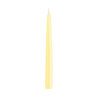Konische Spitzkerzen Grapefruit 240 x Ø 23 mm, 12...