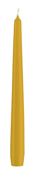 Konische Spitzkerzen Mostarda Senf 240 x Ø 23 mm, 12 Stück