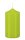 Stumpenkerzen Lime 60 x Ø 40 mm, 12 Stück