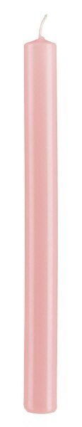 Gebindekerzen Taupe Rose 250 x Ø 22 mm, 10 Stück