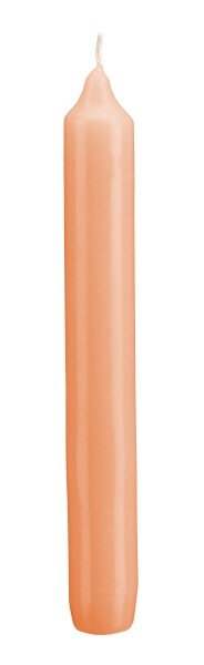 Tafelkerzen Lachs 190 x Ø 21 mm, 12 Stück
