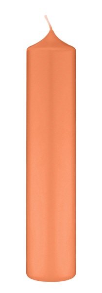 Kaminkerzen Lachs