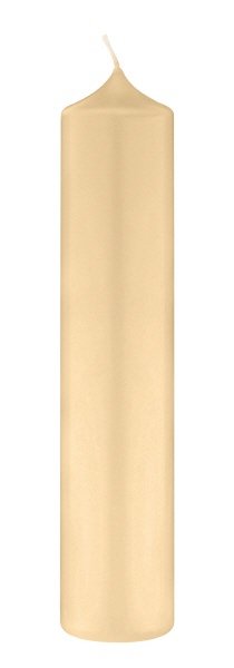 Kaminkerzen Pinie