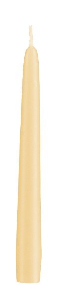 Konische Spitzkerzen Pinie