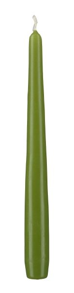 Konische Spitzkerzen Limonegrün