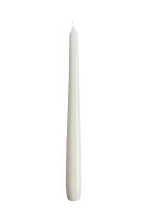 Gelackte Spitzkerzen Champagner 240 x Ø 23 mm, 12...